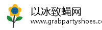 以冰致蝇网